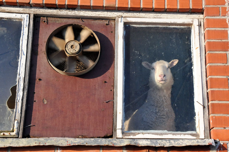 Scandinavie, Suede, Norvege, Finlande